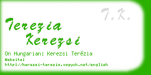 terezia kerezsi business card